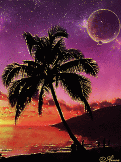 Animated Nature In Night.gif
